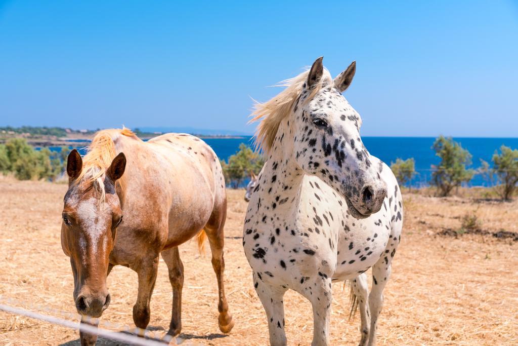 Skinos Ilivatos Eco Villa & Estate Havriáta Kültér fotó